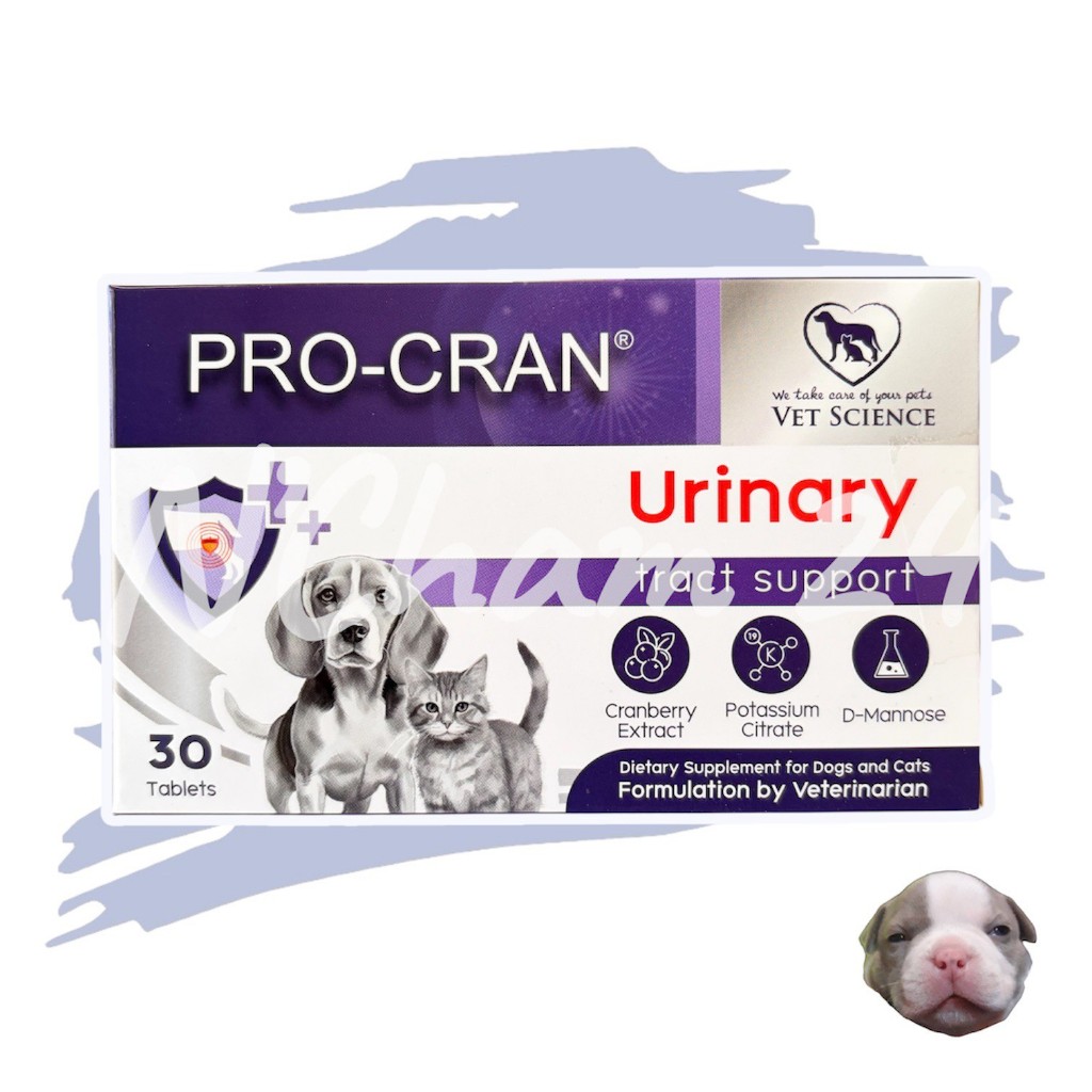 Pro-Cran แบบกล่อง 30 เม็ด วิตามินป้องกันการเกิดนิ่ว ลดการติดเชื้อในทางเดินปัสสาวะ สำหรับสุนัขและแมว