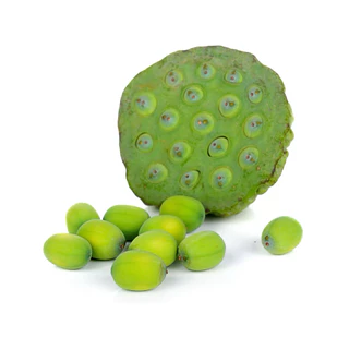 ผงเมล็ดบัว 100% (Lotus Seed Powder) ขนาด 100 กรัม