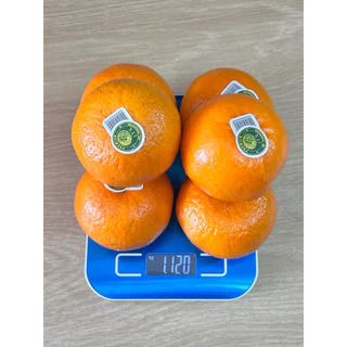 ส้มไต้หวันพรีเมียม 1 กิโลไซด์จัมโบ้ 🍊รับประกันสินค้า ฝากผู้ใหญ่ จัดกระเช้า ไหว้ สดพร้อมส่ง🔥กทม.จัดส่งด่วนได้รับภายใน4ชม.