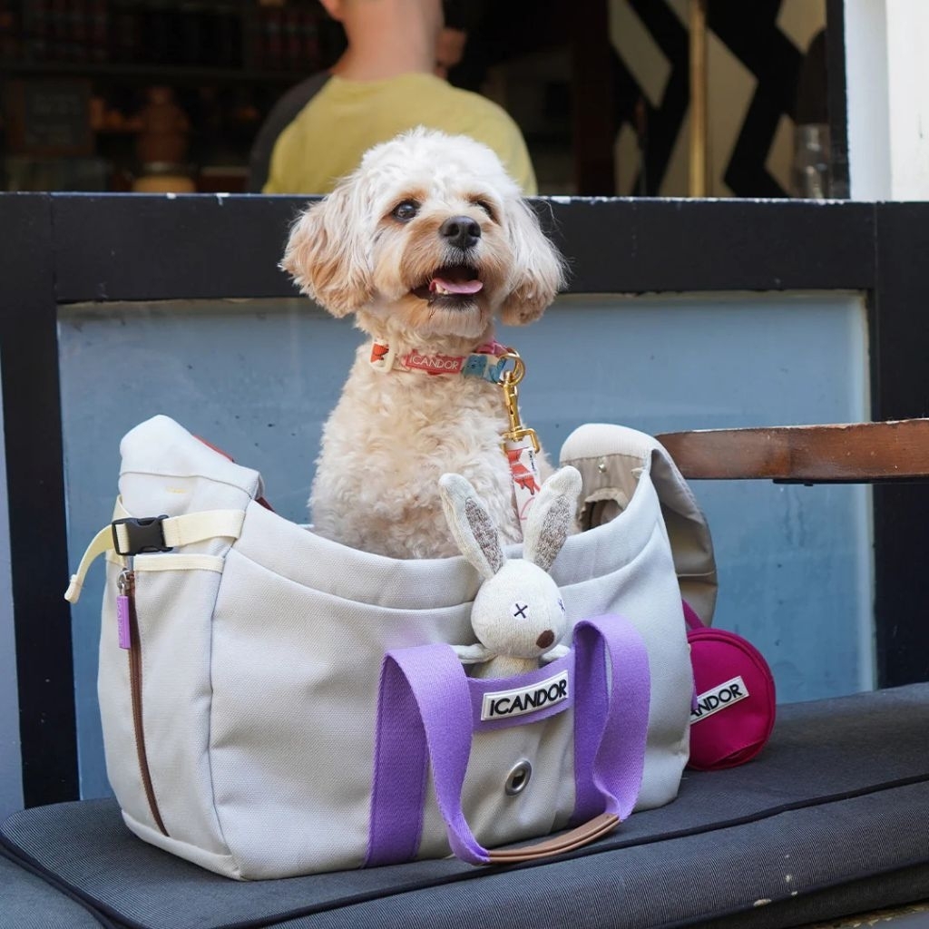VELKYBARK [พร้อมส่ง] iCANDOR 🇰🇷 Peek-a-boo Bag กระเป๋าสัตว์เลี้ยง กระเป๋าสุนัข กระเป๋าแมว ครอสบอดี้ รูปที่ 5