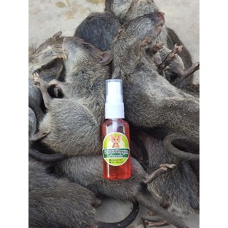 น้ำหอมดักหนูนา หัวเชื้อดักหนูนา