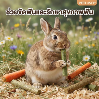 🐰25 แท่ง🐹หญ้าอัดแท่ง หญ้าสติ๊ก ทิโมธี โอ๊ต อัลฟัลฟ่า แครอท สำหรับ ลับฟันสัตว์ฟันแทะ บรรจุถุงซิปล็อค