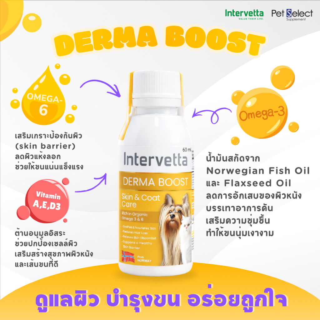 Derma Boost (เดอมา บุส) อาหารเสริมชนิดน้ำ สูตรบำรุงผิวหนังและเส้นขน สำหรับสัตว์เลี้ยง