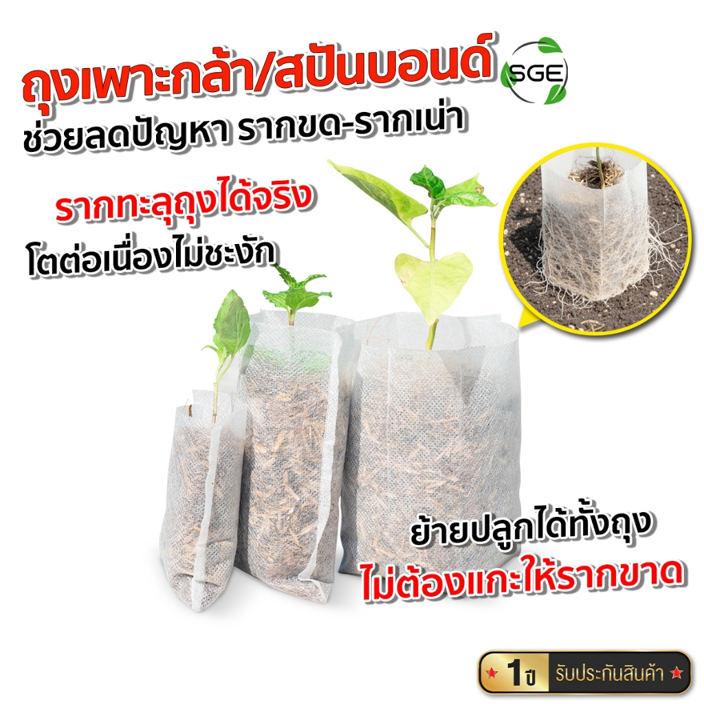 SGE ถุงเพาะกล้า วัสดุปันบอนด์ รากทะลุได้ ย่อยสลายง่าย มีหลายขนาดให้เลือก เหมาะครัวเรือนและเกษตรกร