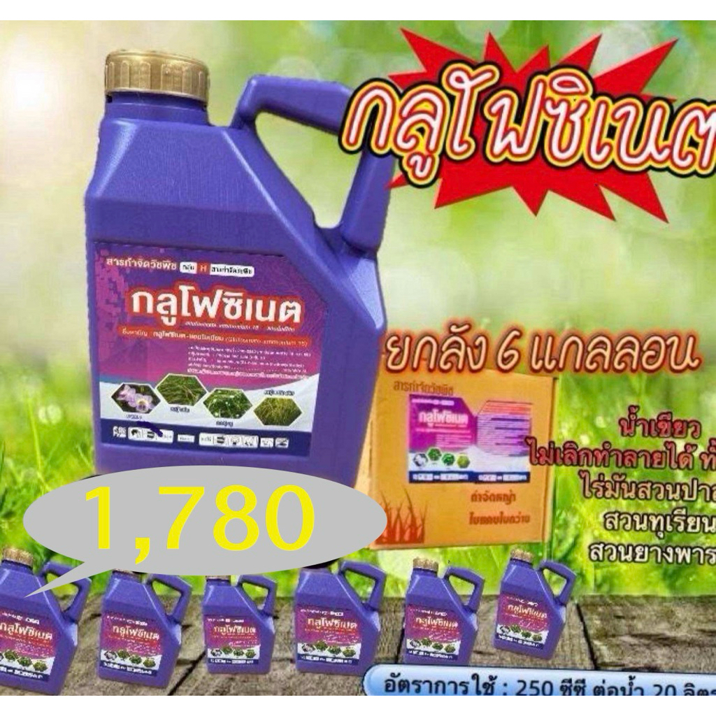 ยกลัง 6 แกลอน กลูโฟซิเนต 15 (แกลลอน ม่วง)(คำสั่งซื้อละไม่เกิน 1 ลัง)ทนฝน (น้ำเขียว) ขนาด 4 ลิตร