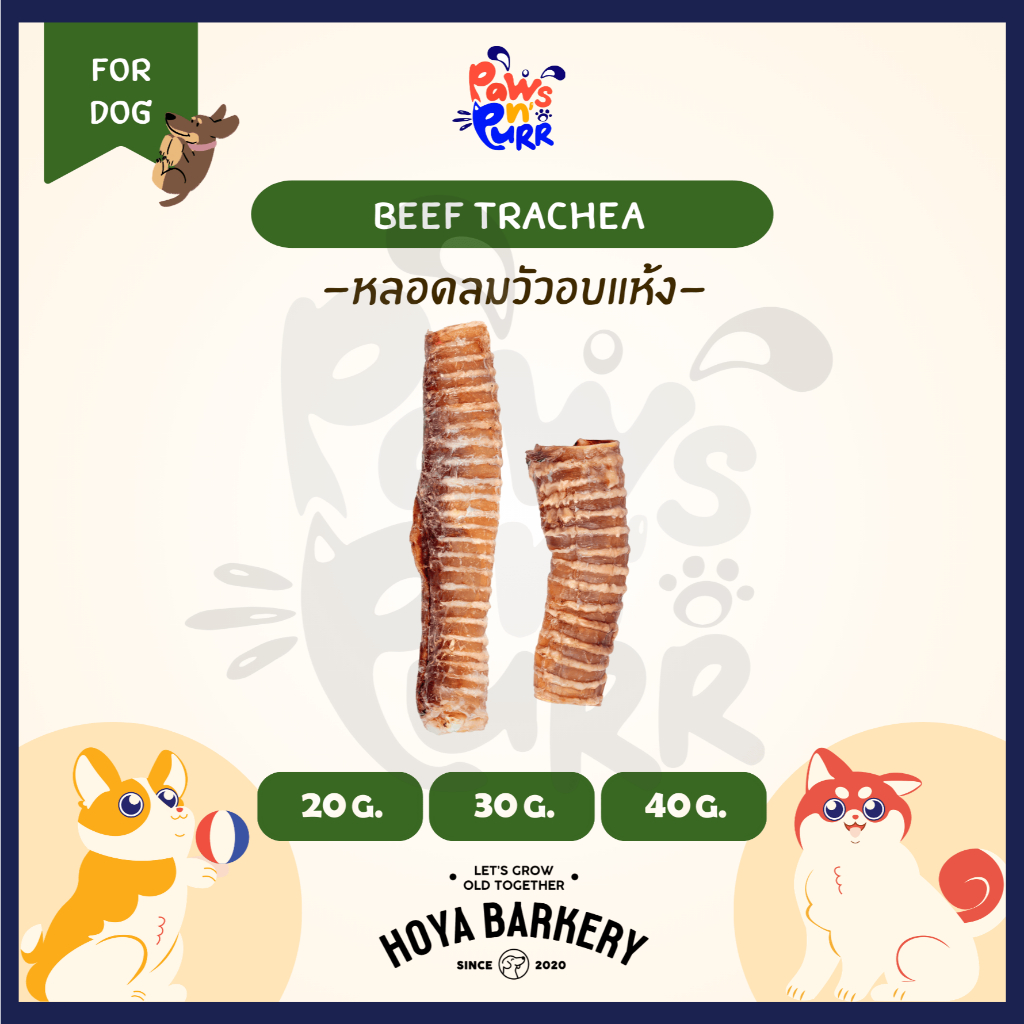 Hoya Barkery Beef Trachea หลอดลมวัวอบแห้งขนมสุนัข
