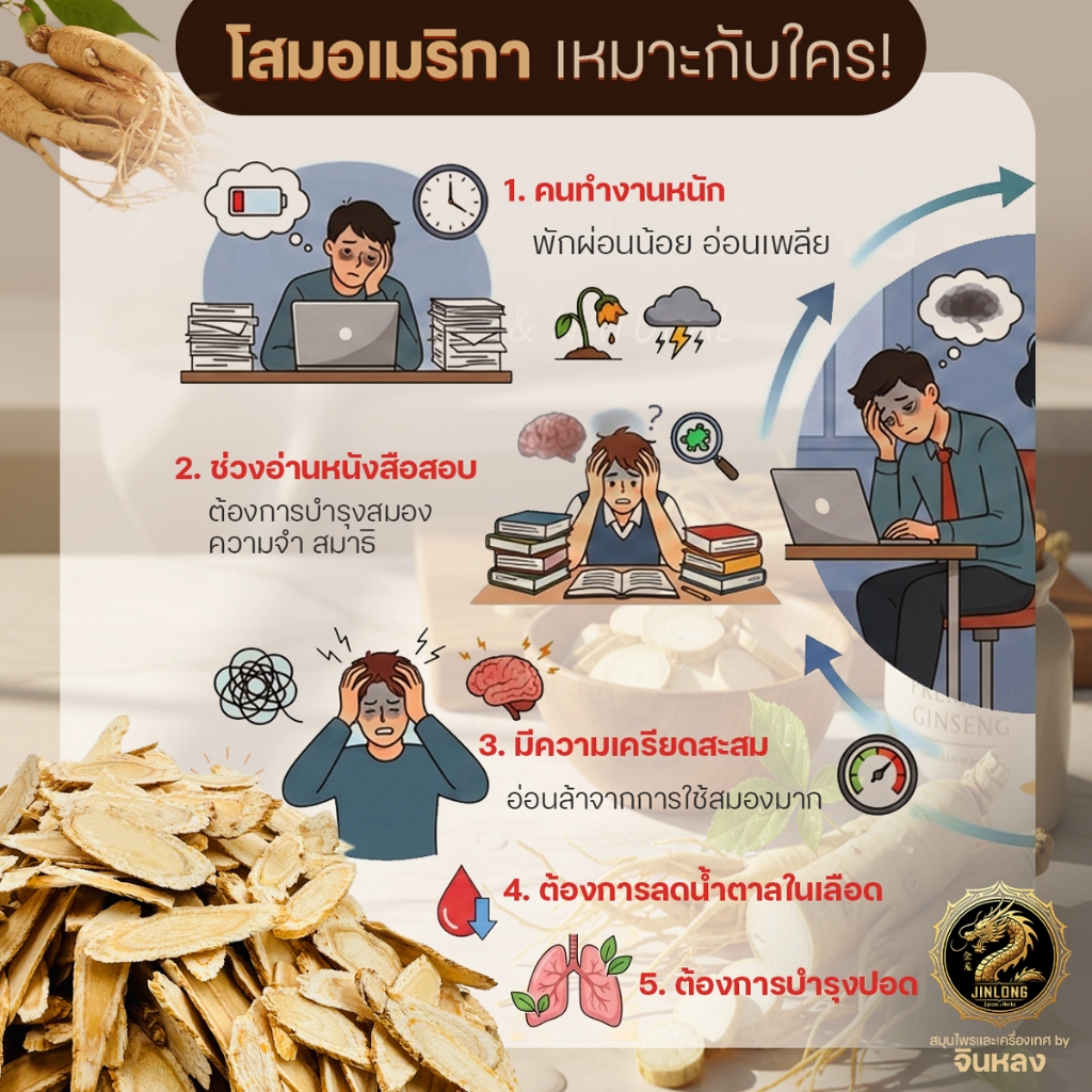 ส่งเร็ว โสมอเมริกา เกรดพรีเมี่ยม 5A แผ่นยาวใหญ่ รูปที่ 6