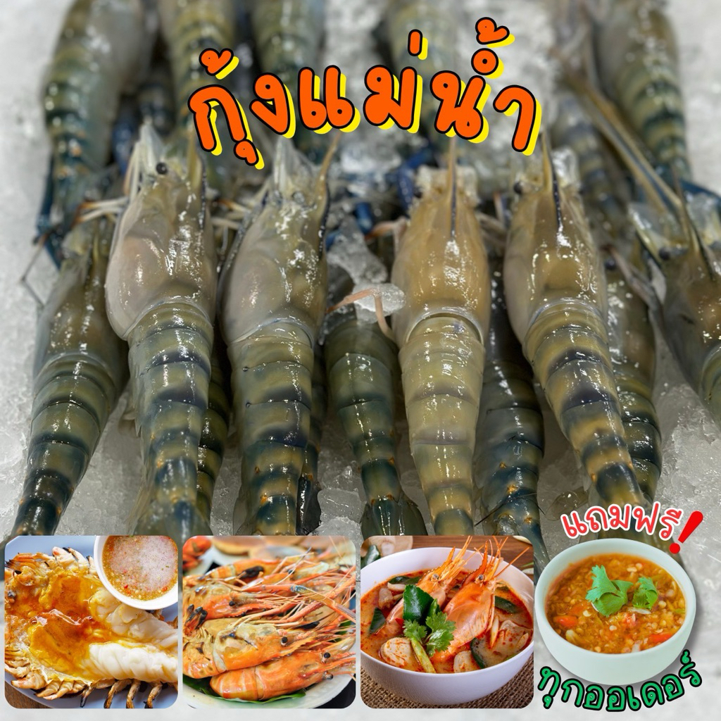 🦞กุ้งแม่น้ำไซส์จัมโบ้+ฟรีน้ำจิ้มซีฟู้ด‼️กุ้งแม่น้ำไซส์ 10-12ตัวโล🦞 ตัวใหญ่ เนื้อแน่น พร้อมส่งทั่วไทย 🚐