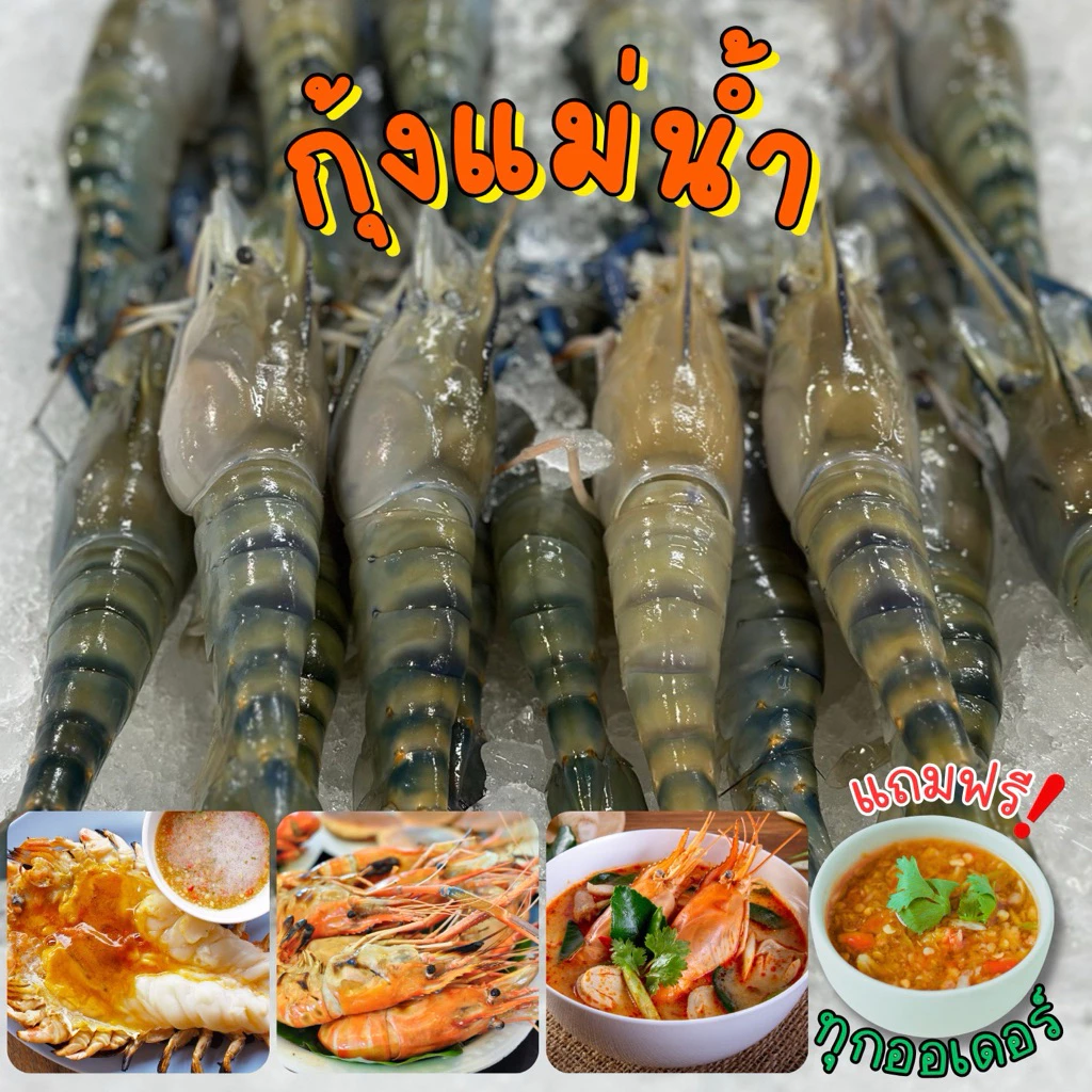 🦞กุ้งแม่น้ำไซส์จัมโบ้+ฟรีน้ำจิ้มซีฟู้ด‼️กุ้งแม่น้ำไซส์ 10-12ตัวโล🦞 ตัวใหญ่ เนื้อแน่น พร้อมส่งทั่วไทย 🚐