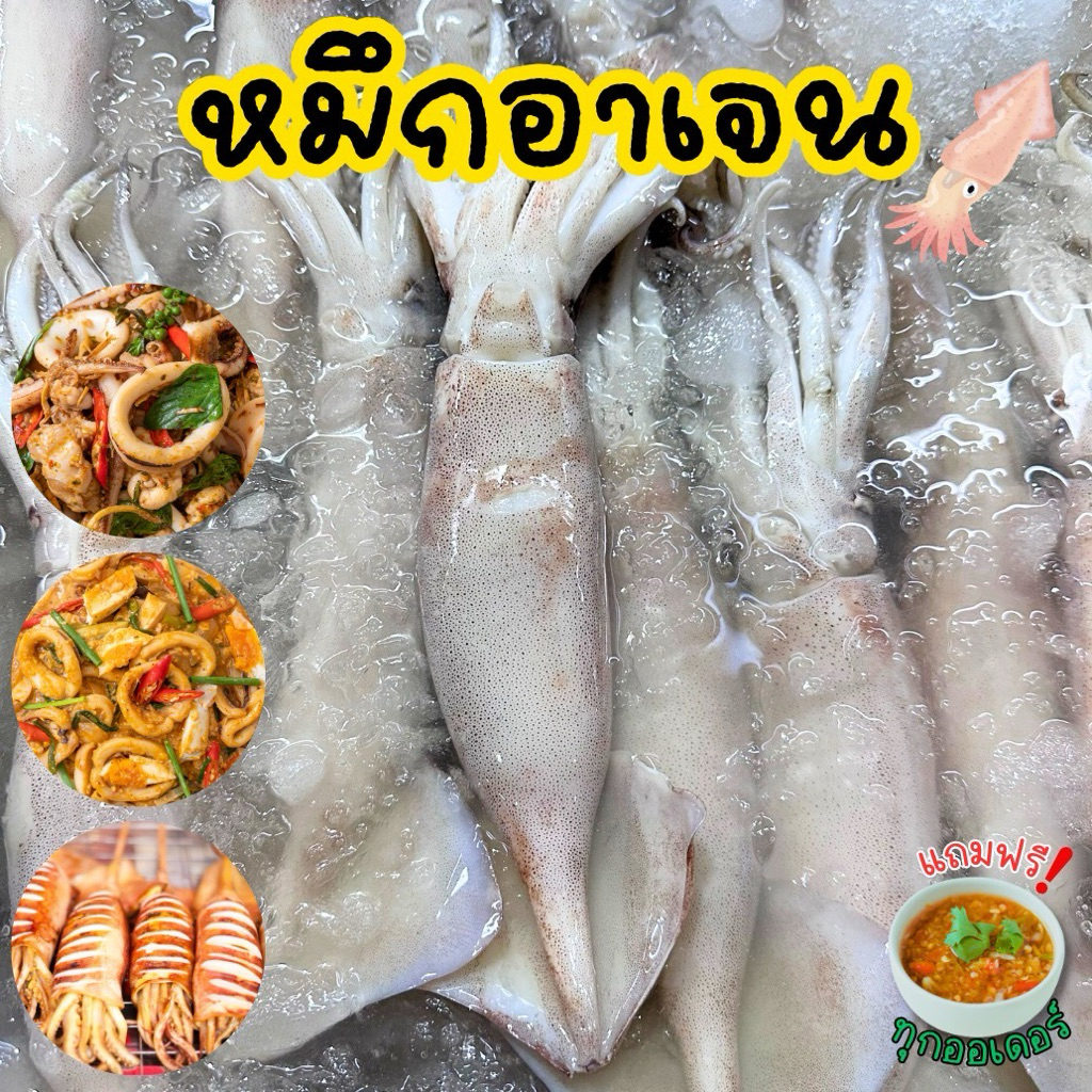 🦑ปลาหมึกอาเจนสดไซส์จัมโบ้+ฟรีน้ำจิ้มซีฟู้ด‼️ ปลาหมึกอาเจนสดไซส์จัมโบ้ 3-4 ตัวโล🦑 เนื้อแน่น เด้ง สะอาด พร้อมส่งทั่วไทย 🛺