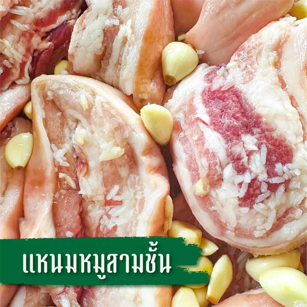 (Live) แหนมหมู3ชั้น เอาไปทำได้หลากหลายเมนู ครัวคุณศิ ขนาด500กรัม ทำใหม่ทุกวัน