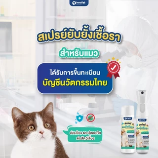 สเปรย์ยับยั้งเชื้อราแมว InnoPet จัดการเชื้อราน้องแมวได้ในขั้นตอนเดียว ลดคัน ลดขนร่วง อ่อนโยน ปลอดภัย ไม่แต่งสีและกลิ่น