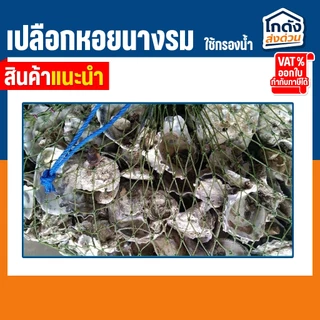 เปลือกหอยนางรม 6 kg.ใส่ถุงตาข่ายอวนเขียว พร้อมใช้งาน