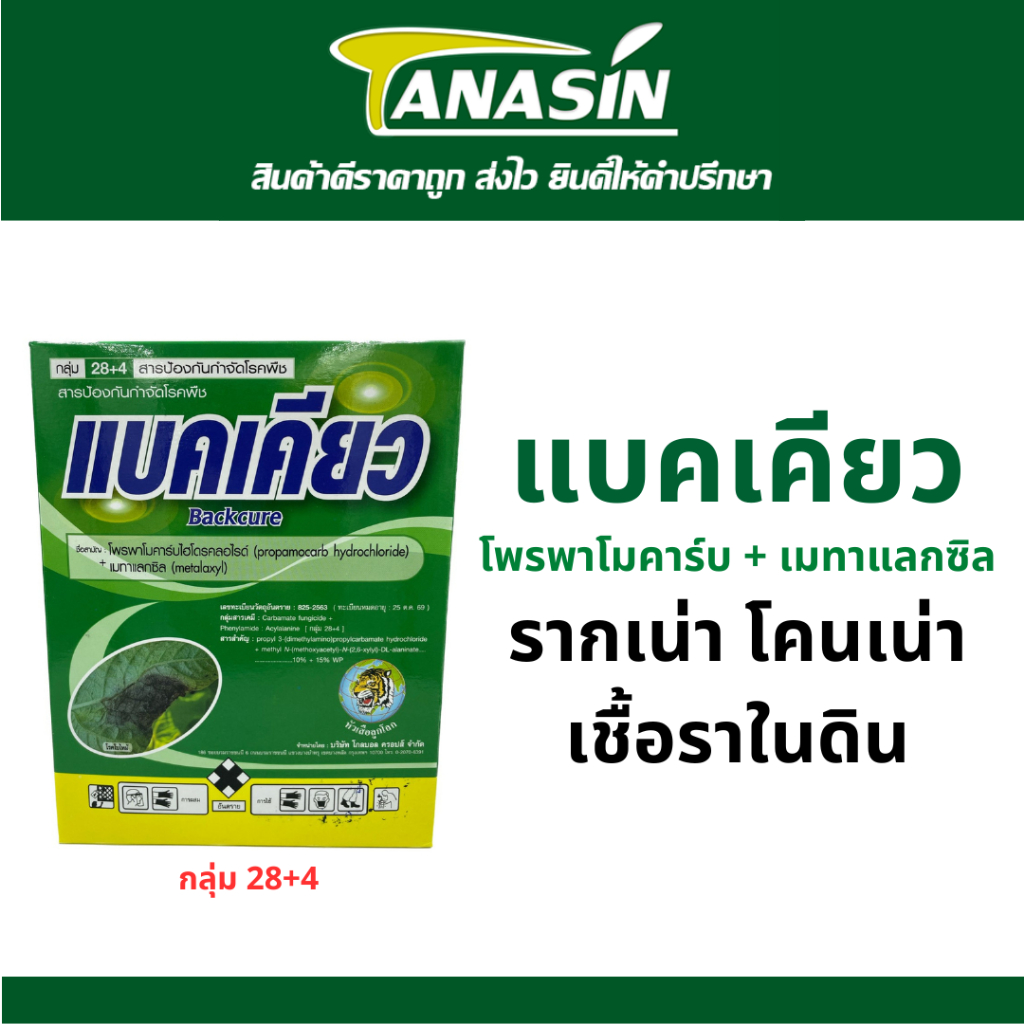 แบคเคียว ตัวเด็ดเชื้อราในดิน รากเน่า โคนเน่า เน่าคอดิน ใช้ได้ทุกพืช
