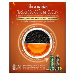 Cha Jing ชาจิง ชาผู่เอ๋อร์ผสมชาซีลอน กลิ่นหอมหมื่นลี้ สูตรไม่มีน้ำตาล 480 ml x 24 ขวด