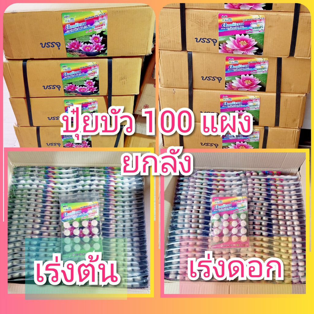 ยกลัง 100 แผง ปุ๋ยบัว ปุ๋ยไม้น้ำ แผงละ 12+4 เม็ด ช่องาม สูตรเร่งต้น สูตรเร่งดอก ปุ๋ยดอกบัว