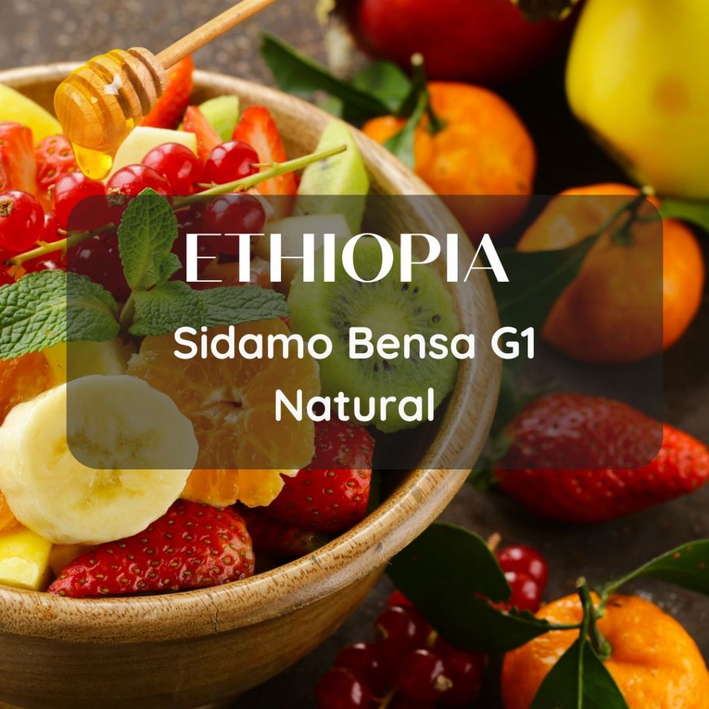 New Lot ! สารเมล็ดกาแฟ Ethiopia Sidamo Bensa G1 Natural 1000g
