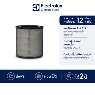 [อุปกรณ์เสริม] Electrolux 900923268 EFFCLN4 Filter เครื่องฟอ…