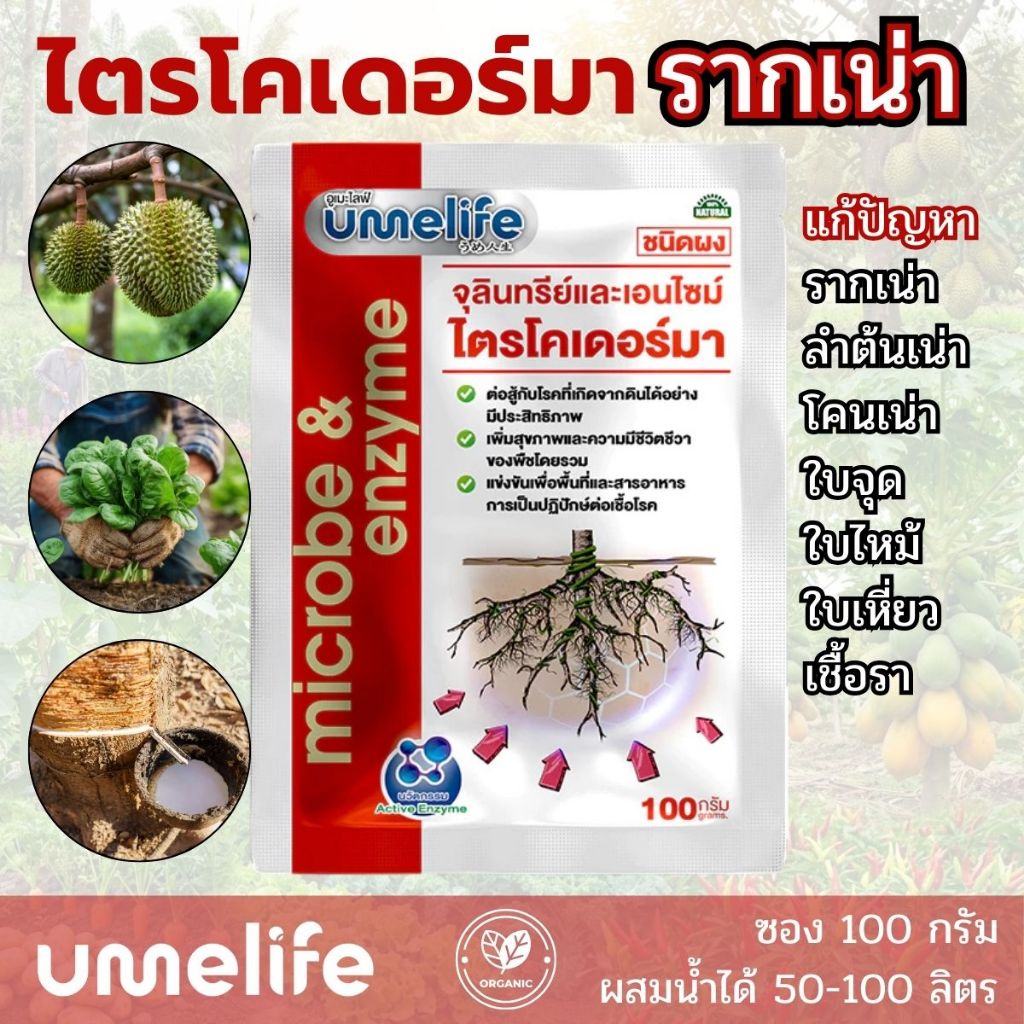 อูเมะไลฟ์ ไตรโคเดอร์มา 100 กรัม จุลินทรีย์ป้องกันรากเน่า เชื้อราในดิน ป้องกันเชื้อโรคในดิน บำรุงราก