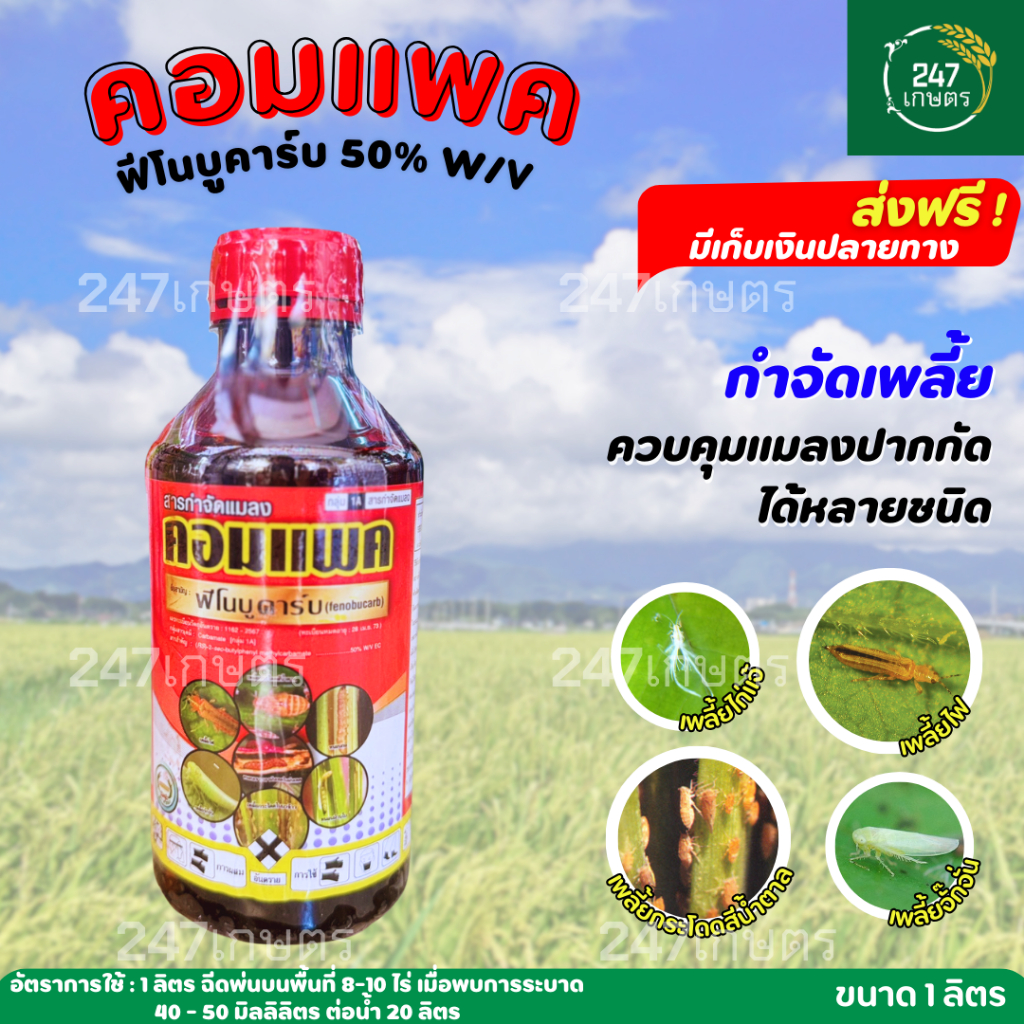 คอมแพค ฟีโนบูคาร์บ 1 ลิตร สูตรเย็น  ยาน็อคเพลี้ยกระโดด เพลี้ยไก่แจ้ แมลงปากกัด แมลงบิน ออกฤทธิ์ไว