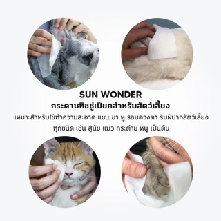 (1 แพค/80 แผ่น) SUN WONDER PET WET CLEANSING WIPES ทิชชู่เปียกสำหรับสัตว์เลี้ยง