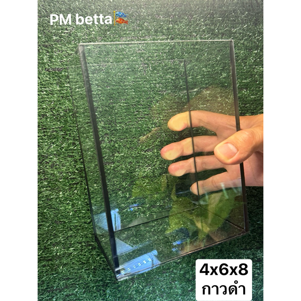 ตู้ปลากัด4x6x8 (กาวดำ)โหลปลากัดสวยงาม