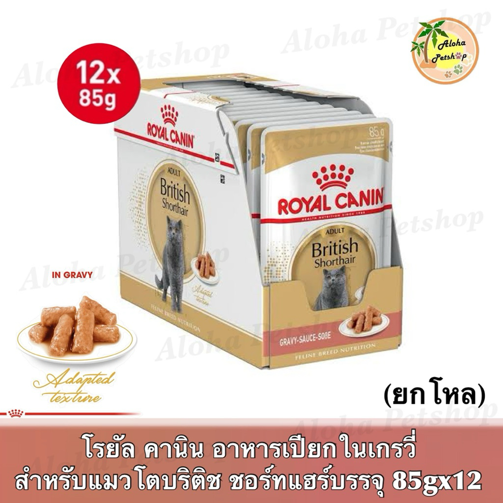 (ยกโหล)Royal Canin British Shorthair Adult in Gravy❤️🐱โรยัล คานินอาหารเปียกบริติช ชอร์ทแฮร์โตบรรจุ 85g*12