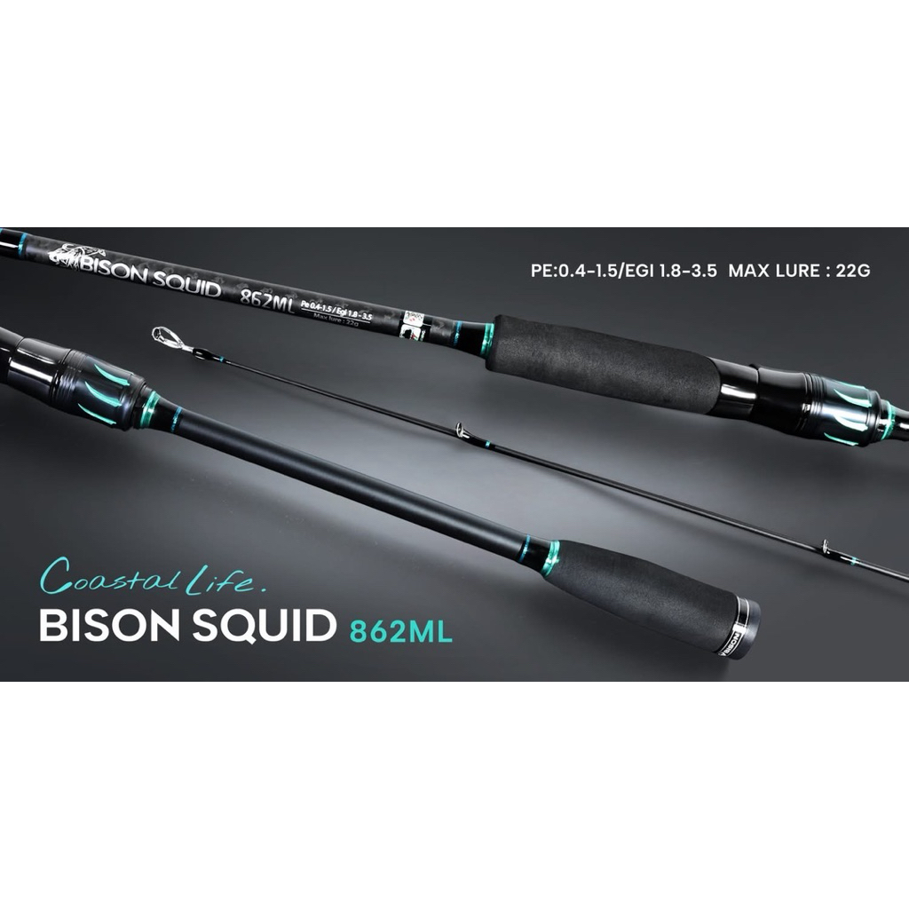 BISON SQUID  คันเบ็ด
