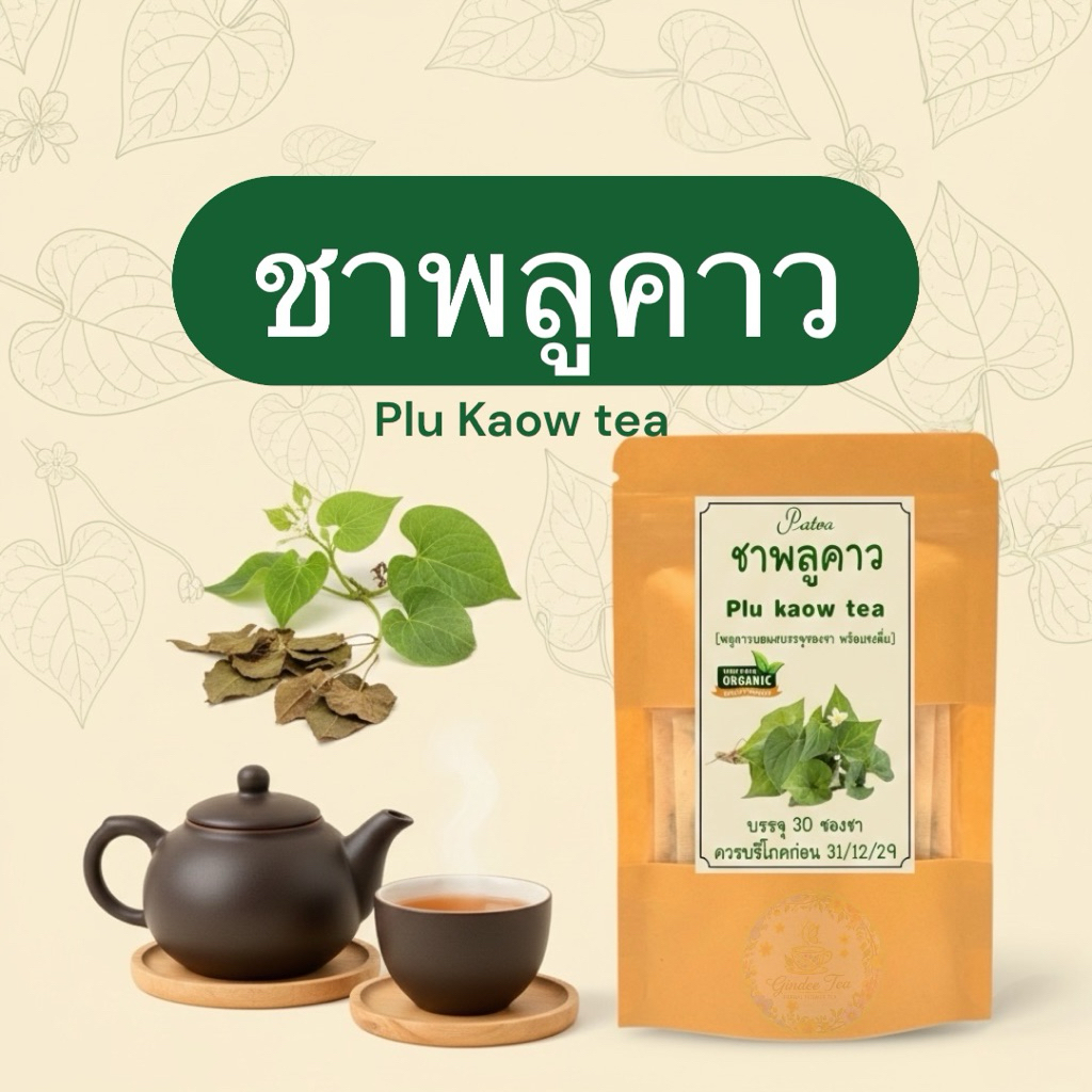 ชาพลูคาว บรรจุ 30 ซองชา Plus know tea พลูคาวปลูกแบบเกษตรอินทรีย์นำมาบดผงบรรจุซองชาชงดื่มรสชาติดีดื่มง่ายไม่ขม