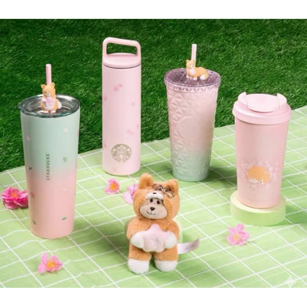 แก้ว Starbucks Sakura Thailand 2026 🌸