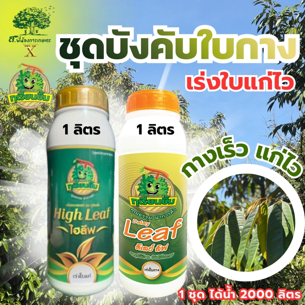 ชุดบังคับใบกาง ตราทุเรียนยิ้ม (ไฮ ลีฟ 1 ลิตร+ดีเลย์ ลิฟ 1 ลิตร) บังคับใบกางไว แก่เร็ว