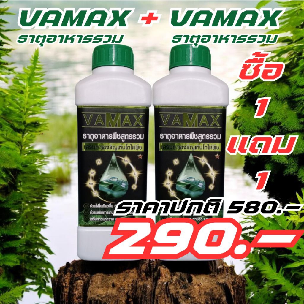 VAMAX - ธาตุอาหารรวม(ซื้อ1แถม1)