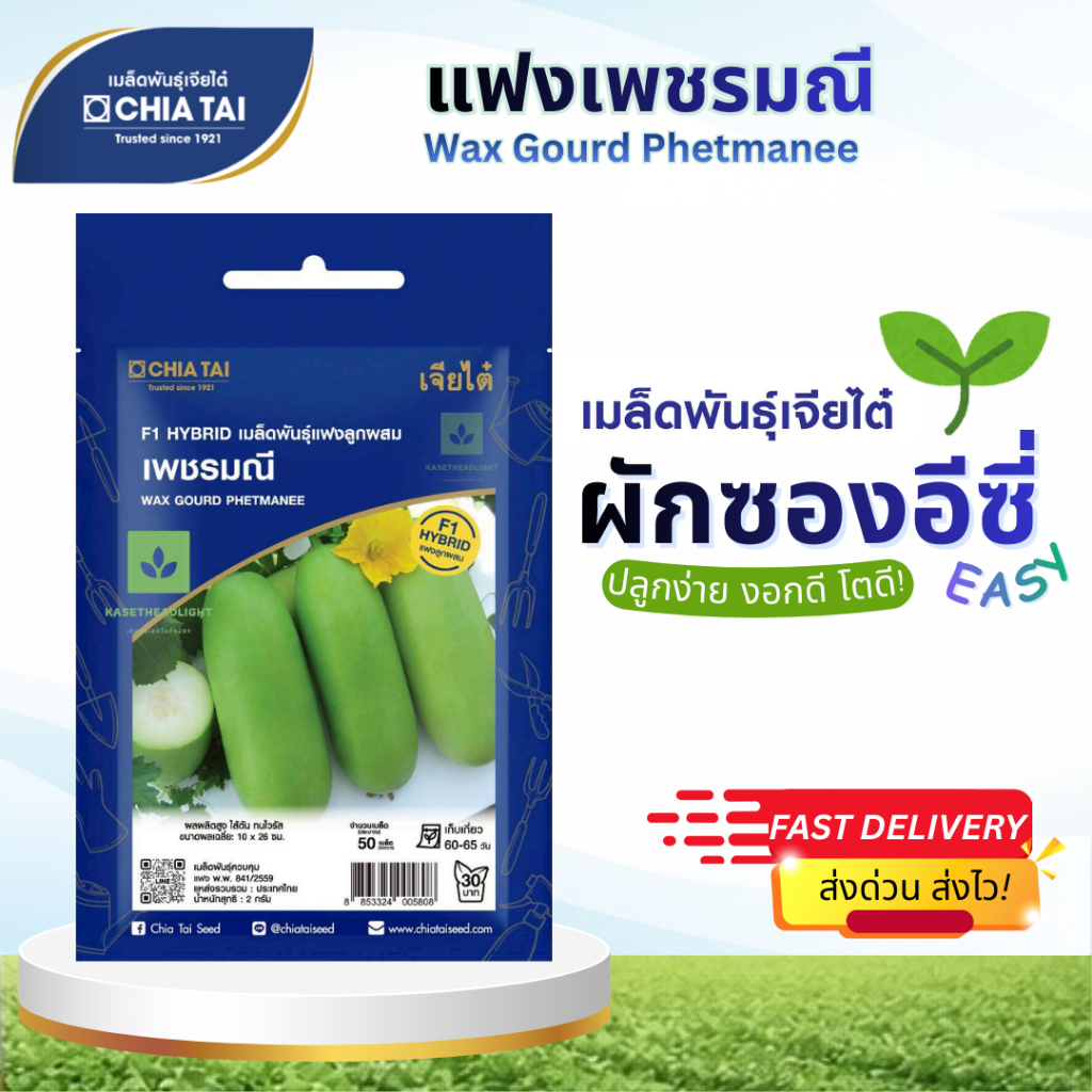 Easy เมล็ดพันธุ์แฟงเพชรมณี 50เมล็ด Wax Gourd Phetmanee เจียไต๋