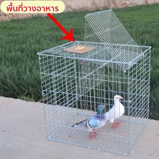 🕊️กรงกับดักนกพิราบ เพนียดดักนก เพนียดดักนก การออกแบบการเข้ารหัสกริด ติดตั้งง่าย ทำความสะอาดง่าย 🕊️