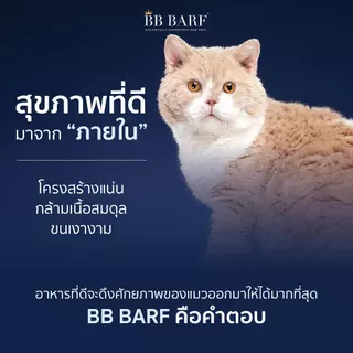 บาร์ฟแมว สูตรไก่ สูตรเป็ด อาหารแมว บีบี บาร์ฟ BB BARF อาหารสดดิบสำหรับแมว 12 กระปุก
