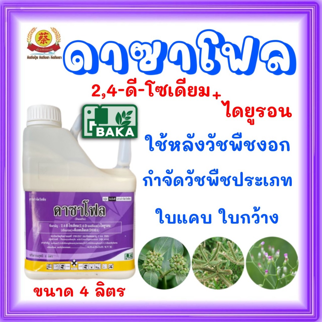 ดาซาโฟแกลอนขนาด4ลิตรคุมและฆ่าในไร่อ้อยกำจัดวัชพืชได้ทั้งใบแคบและใบกว้าง