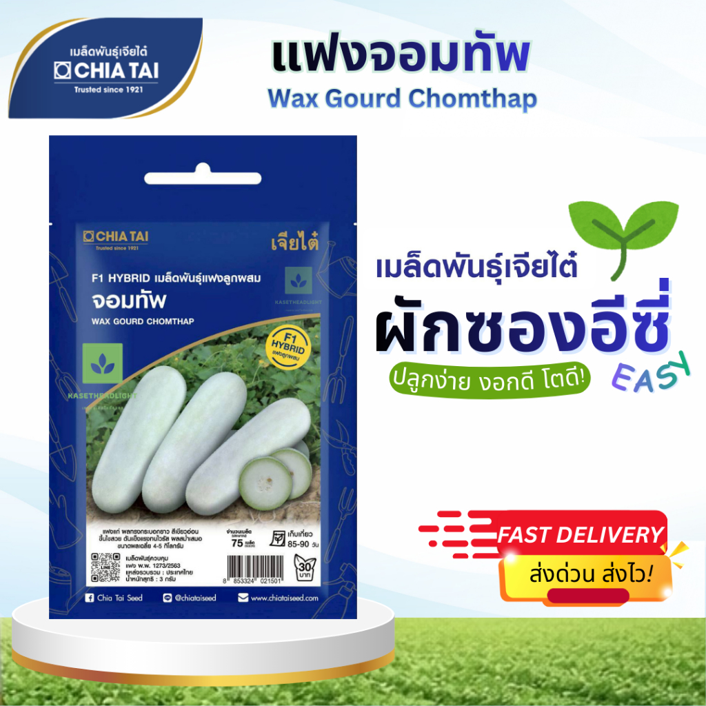 Easy เมล็ดพันธุ์แฟงจอมทัพ 76เมล็ด แฟงแก่ Wax Gourd Chomthap เจียไต๋