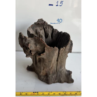 ไม้แต่งตู้ปลาขนาดเล็ก ตอไม้ ขอนไม้ จัดสวนถาด รากไม้ driftwood diy