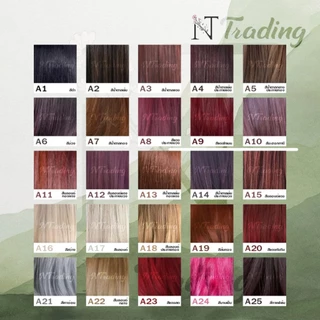 Berina Hair Color cream | เบอริน่า ครีมย้อมสีผม เบอร์ A1-A47 | 60 g