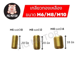 เกลียวทองเหลือง M6/M8/M10 ตัวหนอนซ่อมเกลียวทองเหลือง น็อตซ่อมเกลียว ตัวนอนทำเกลียว