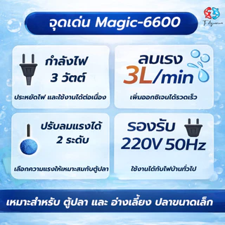 ปั้มลม ปั้มออกซิเจน 1 ทาง Magic 6600 สำหรับเลี้ยงกุ้งปลา คุณภาพดี แข็งแรงทนทาน (แถมสายอ๊อก 3m หัวทราย 1หัว)