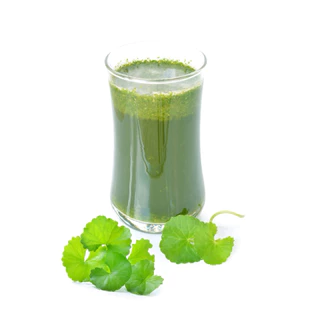 ผงใบบัวบก 100% (Gotu Kola Powder) ขนาด 100 กรัม ช่วยลดอาการฟกช้ำและบำรุงร่างกาย