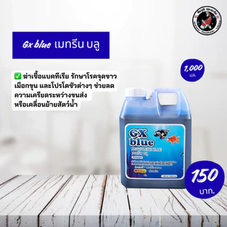 GX Blue เมทรีน บลู ขนาด 1,000 มล. ลดเชื้อแบคทีเรีย ดูแลจุดขาว เมือกขุ่น และโปรโตซัวต่างๆ สำหรับปลาสวยงาม เก็บในร่ม