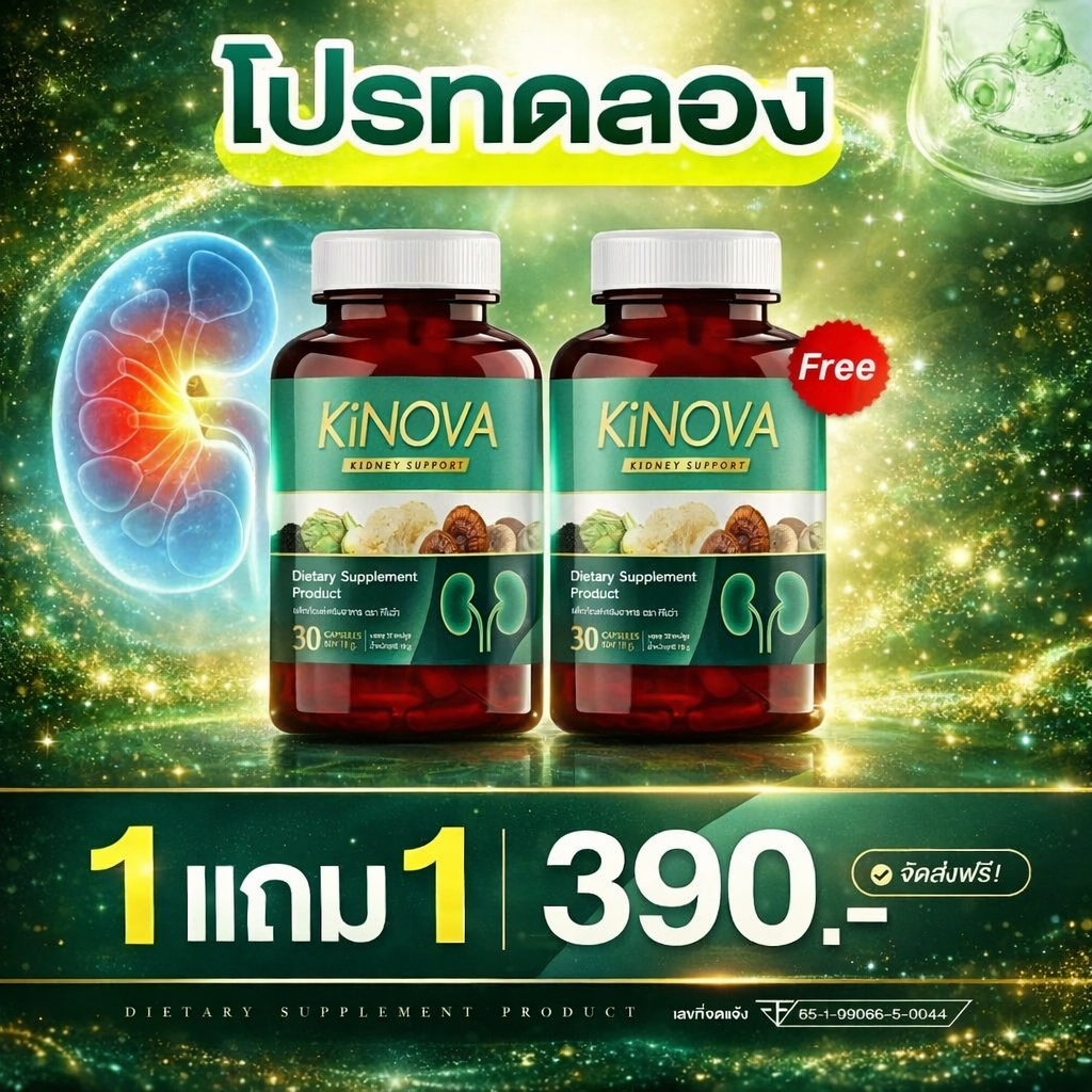 KINOVA  คิโนว่า สำหรับไต ผลิตภัณฑ์เสริมอาหาร วิตามินบำรุงไต KINOVA  คิโนว่า (1 กระปุก 30 แคปซูล)