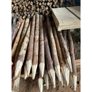 ชุดค้ำต้นไม้ DIY ไม้ขนาด 1.5 นิ้ว สูง 1 เมตร พร้อมตะปู สำหรับต้นไม้สูง 1.5 เมตร ขึ้นไป
