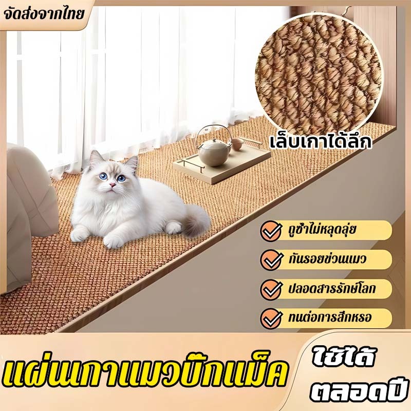 แผ่นขูดแมว  ทำความสะอาดง่าย หลายขนาดเลือกได้ ไม่หลุดลุ่ยง่าย ใช้ได้หลากหลาย ทำความสะอาดง่าย
