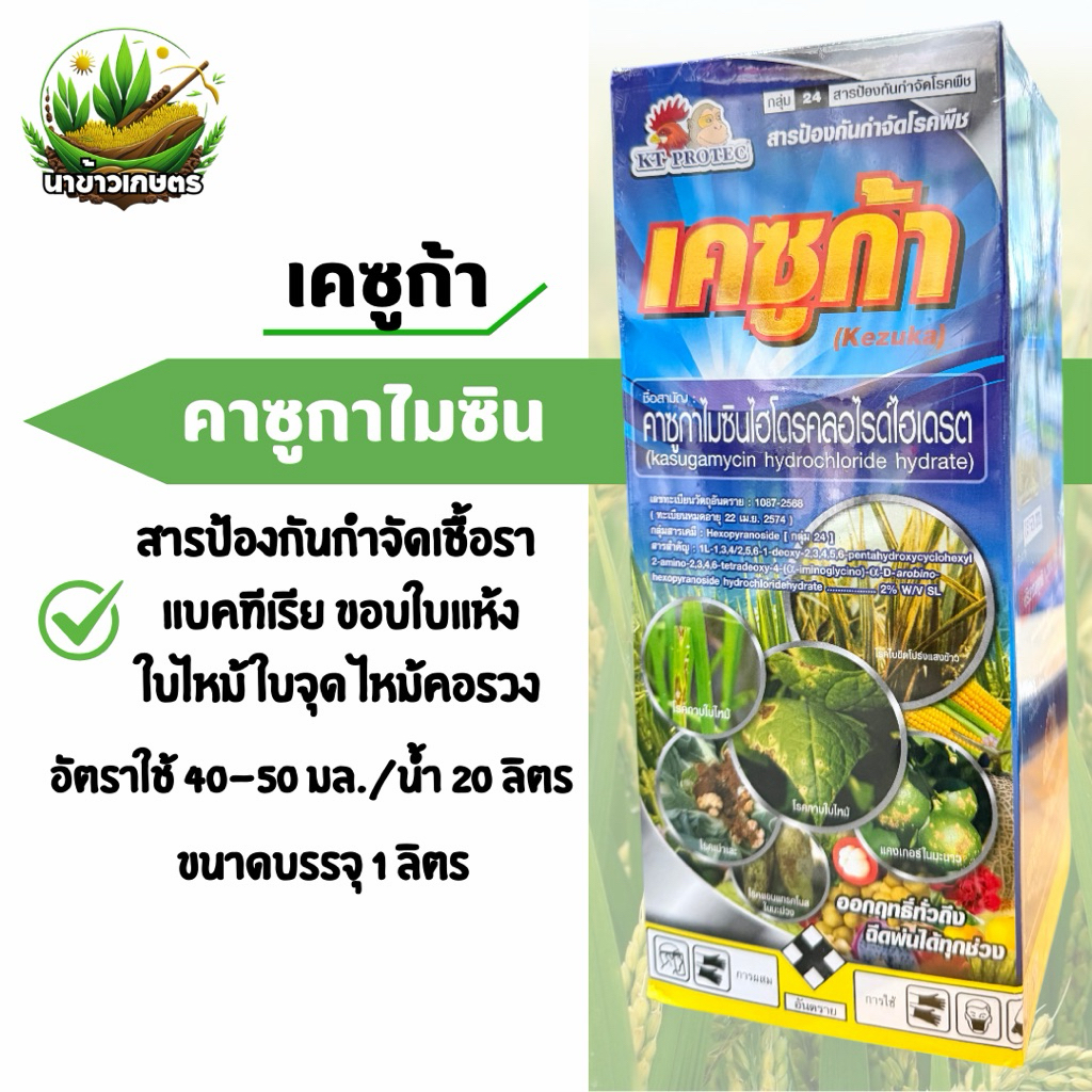 เคซูก้า คาซูกาไมซิน 1 ลิตร กำจัดเชื้อรา แบคทีเรีย ขอบใบแห้ง ใบไหม้ ใบจุด