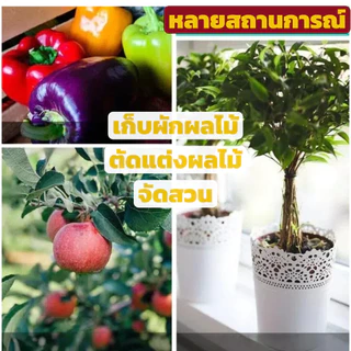 กรรไกรตัดแต่งไม้สแตนเลส ประหยัดแรง ตัดกิ่งไม้หนา เครื่องมือสวนมืออาชีพ
