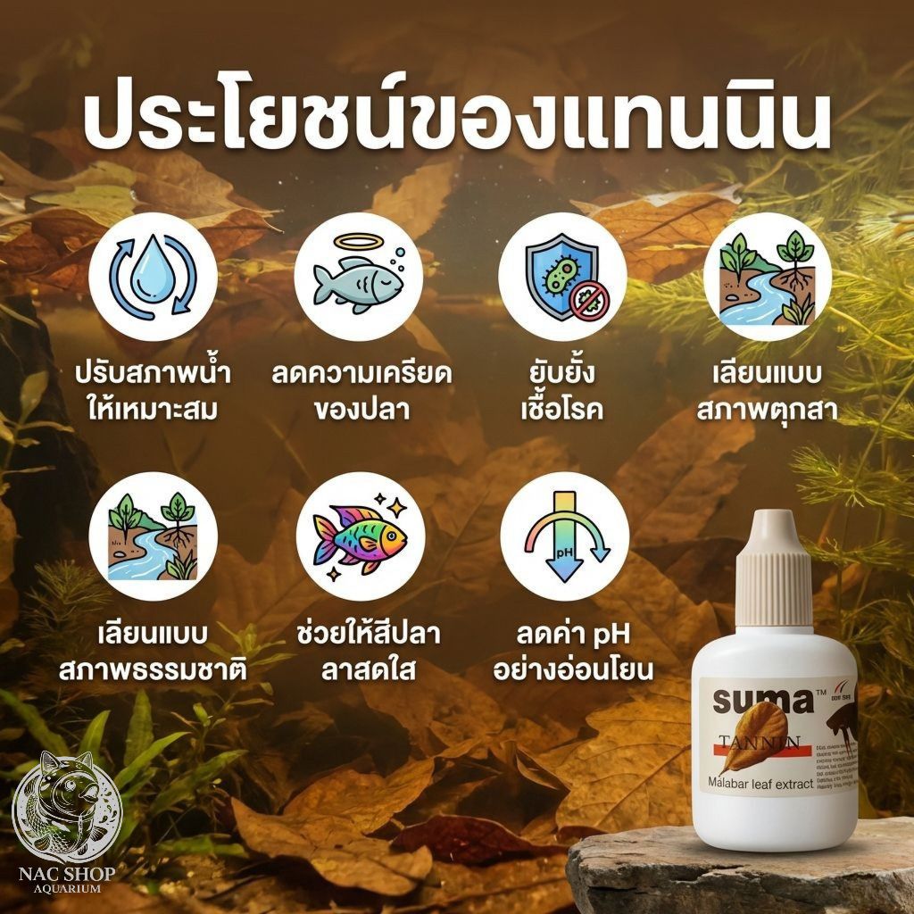 SUMA Tannin หัวเชื้อสกัดแทนนินบริสุทธิ์จากใบหูกวางแห้ง ฝาเทา ปรับสมดุลน้ำสำหรับปลากัด