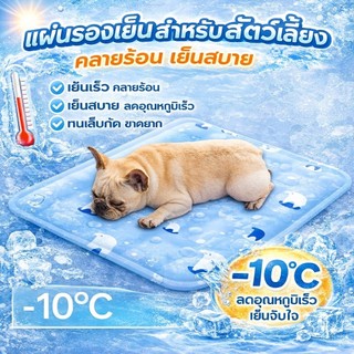 ระบายความร้อน สําหรับสัตว์เลี้ยง สุนัข  ที่นอนเจลเย็น สำหรับตว์เลี้ยง เบาะนอนเย็น สำหรับสุน ที่นอนเจลเย็น แผ่นเจลเย็นแมว
